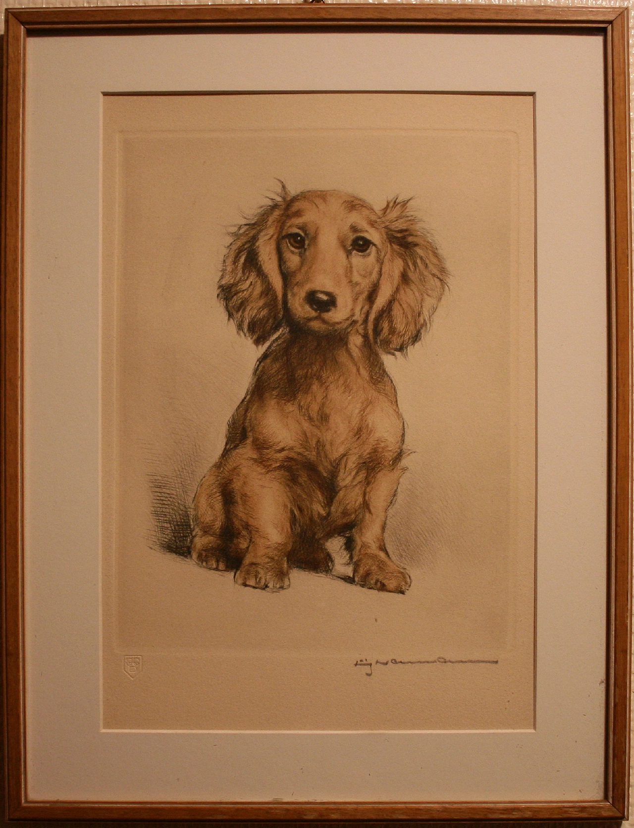 A dachshund (Fritz Neumann)