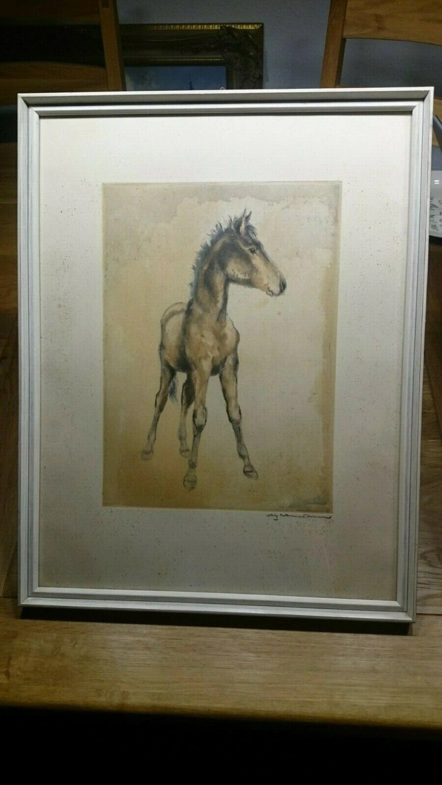 Print of a foal by Fritz Neumann