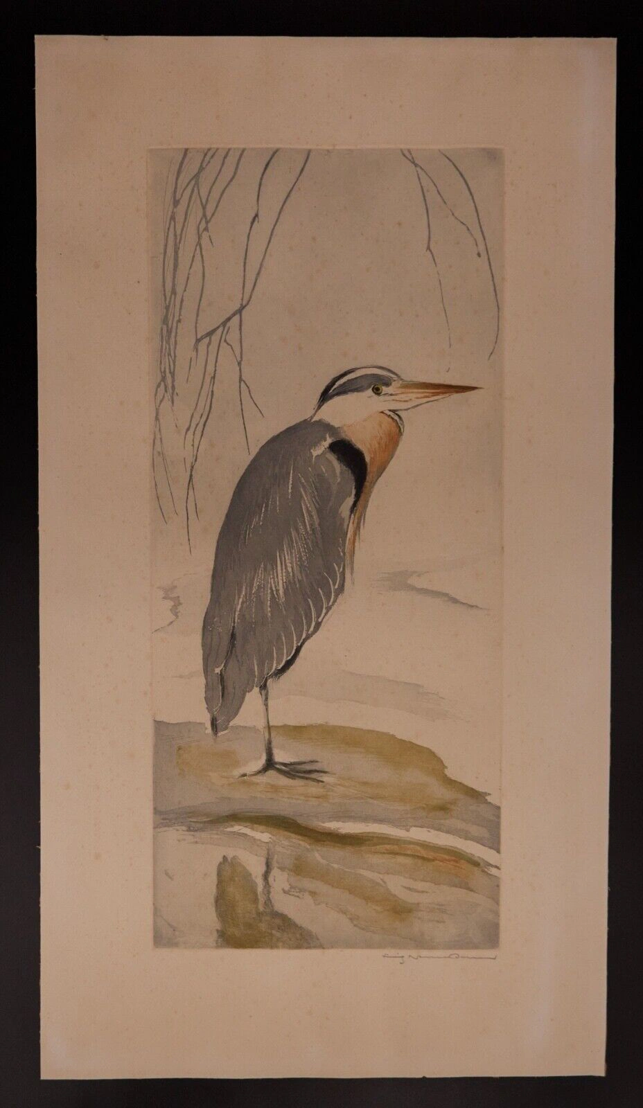 Fritz Neumann Heron