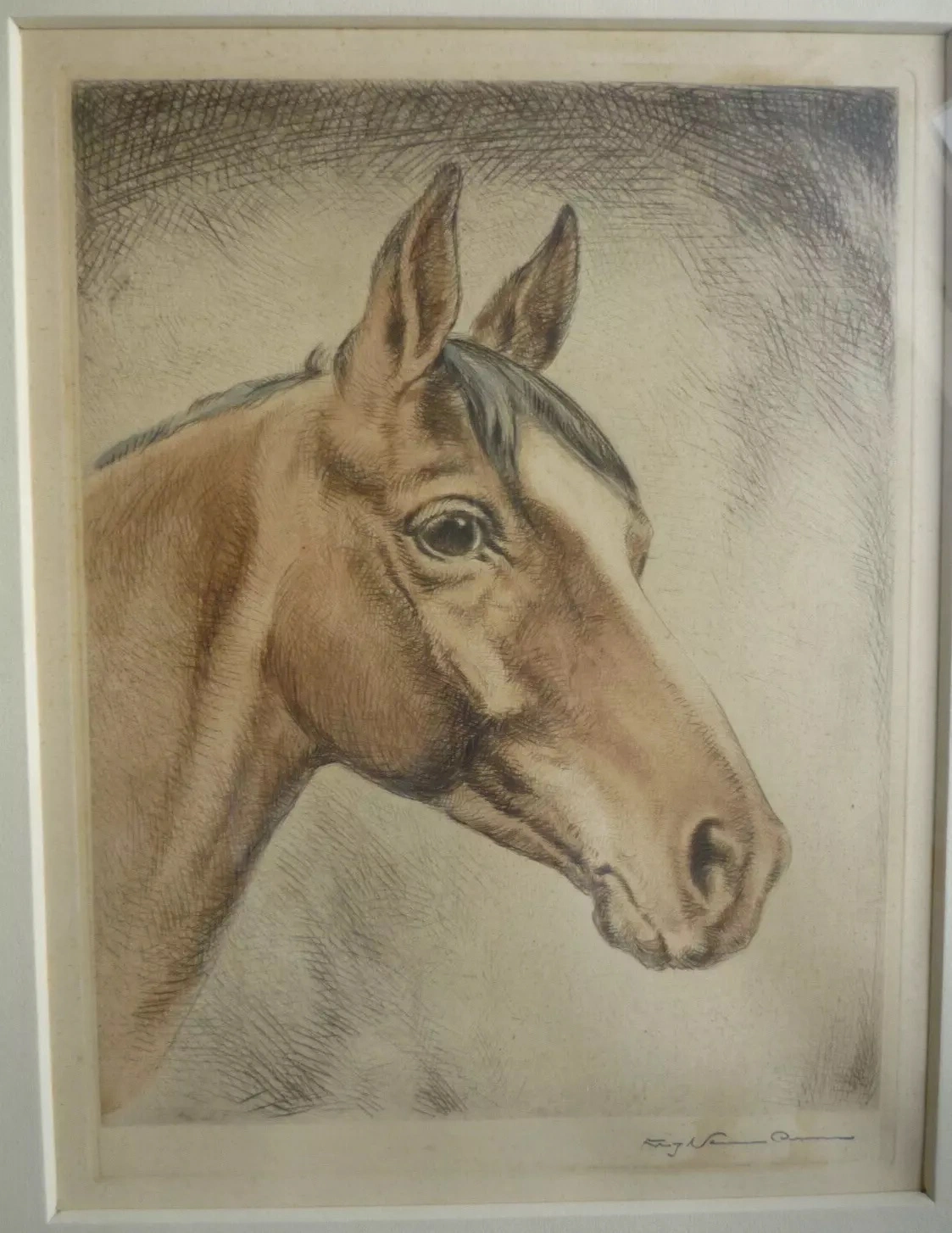 Fritz Neumann Horse