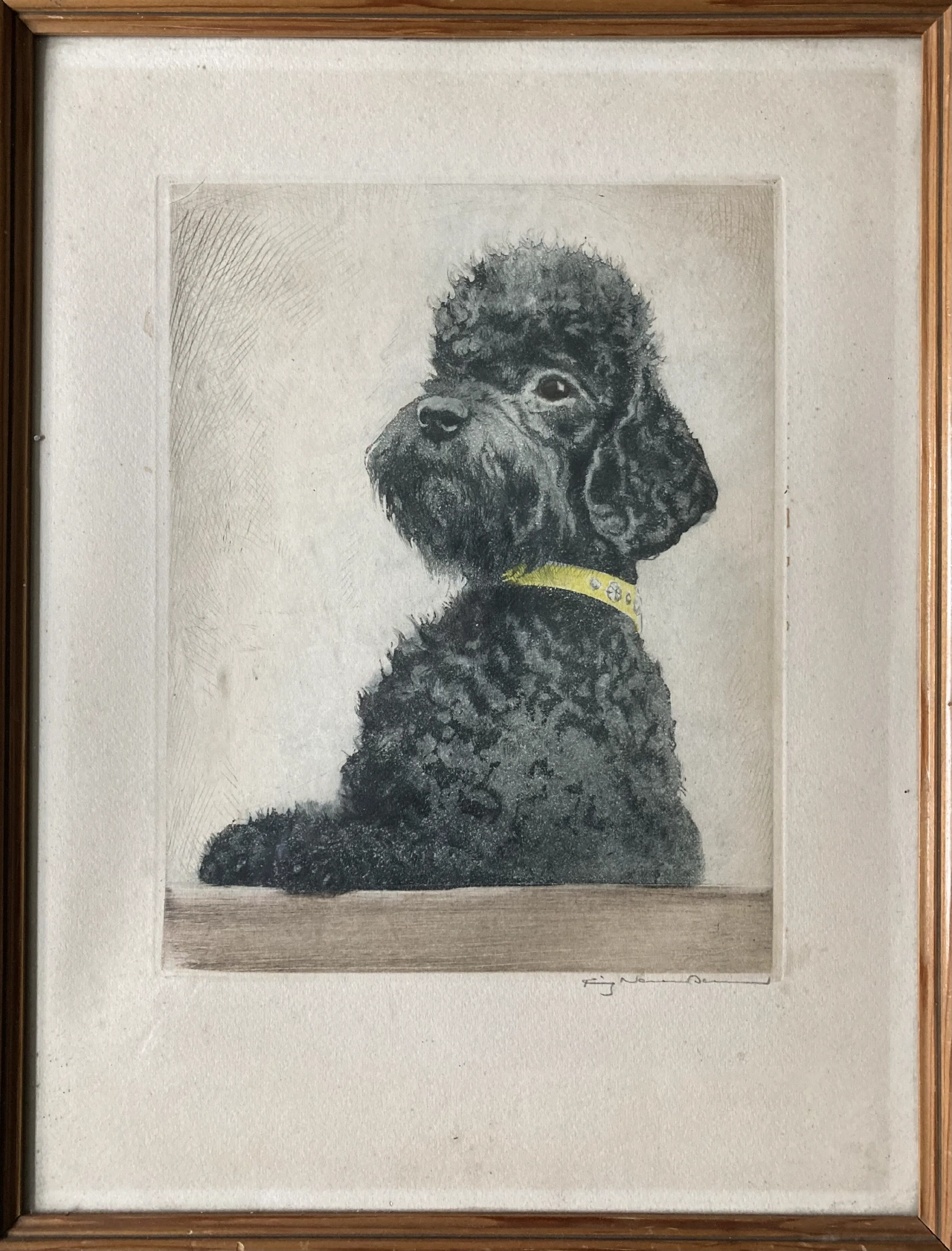 Fritz Neumann Poodle