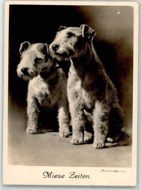 Postcard by Fritz Neumann 1 ("Miese Zeiten")