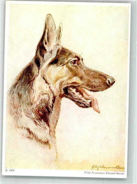 Postcard by Fritz Neumann 2 ("Freund Harras")