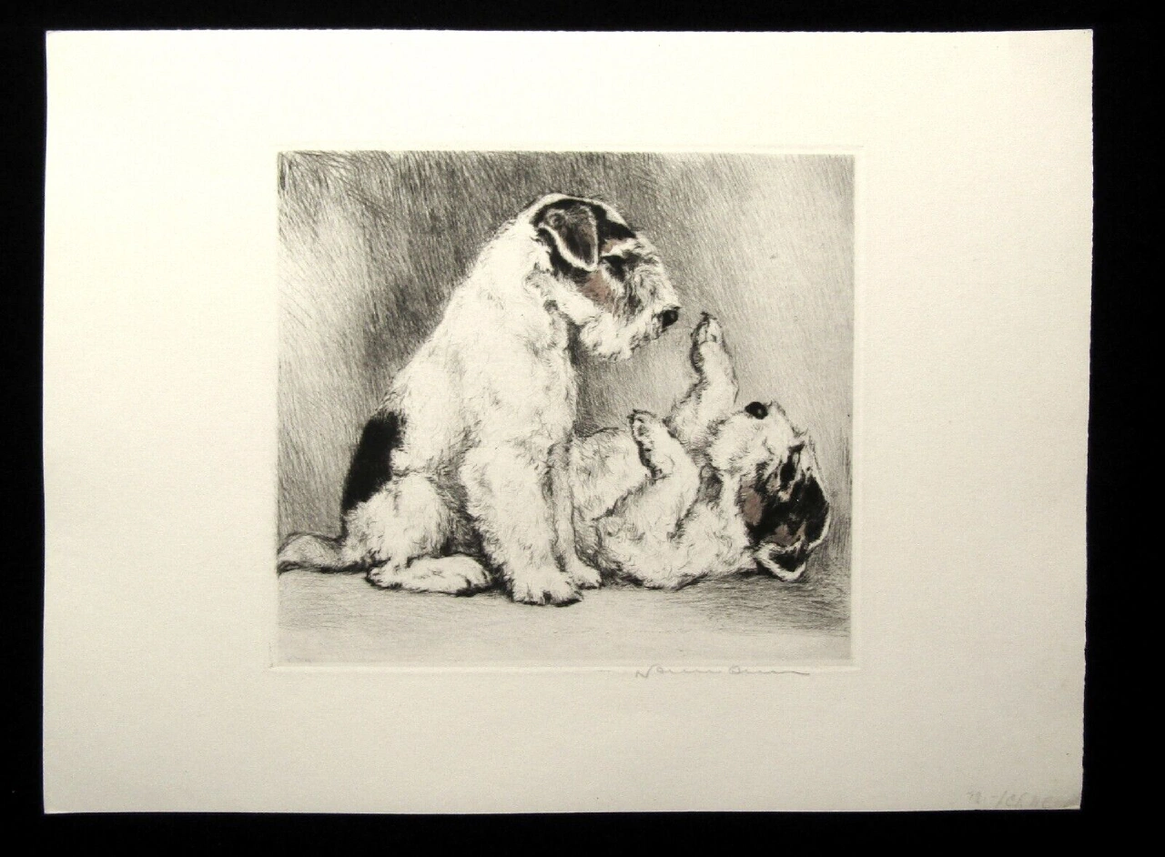 Fritz Neumann Terriers