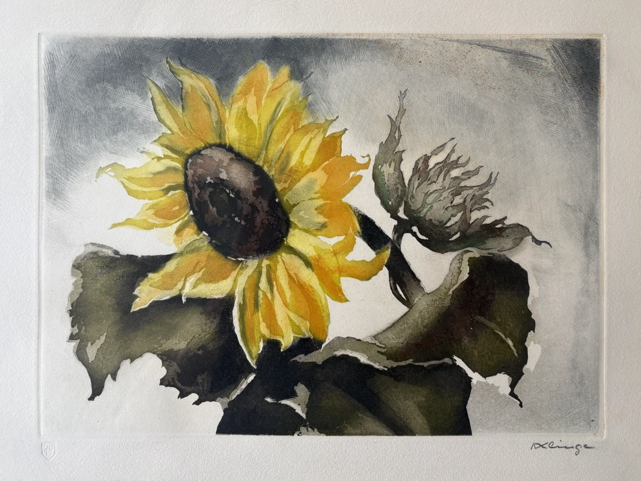 Hedwig Klinge Sunflower