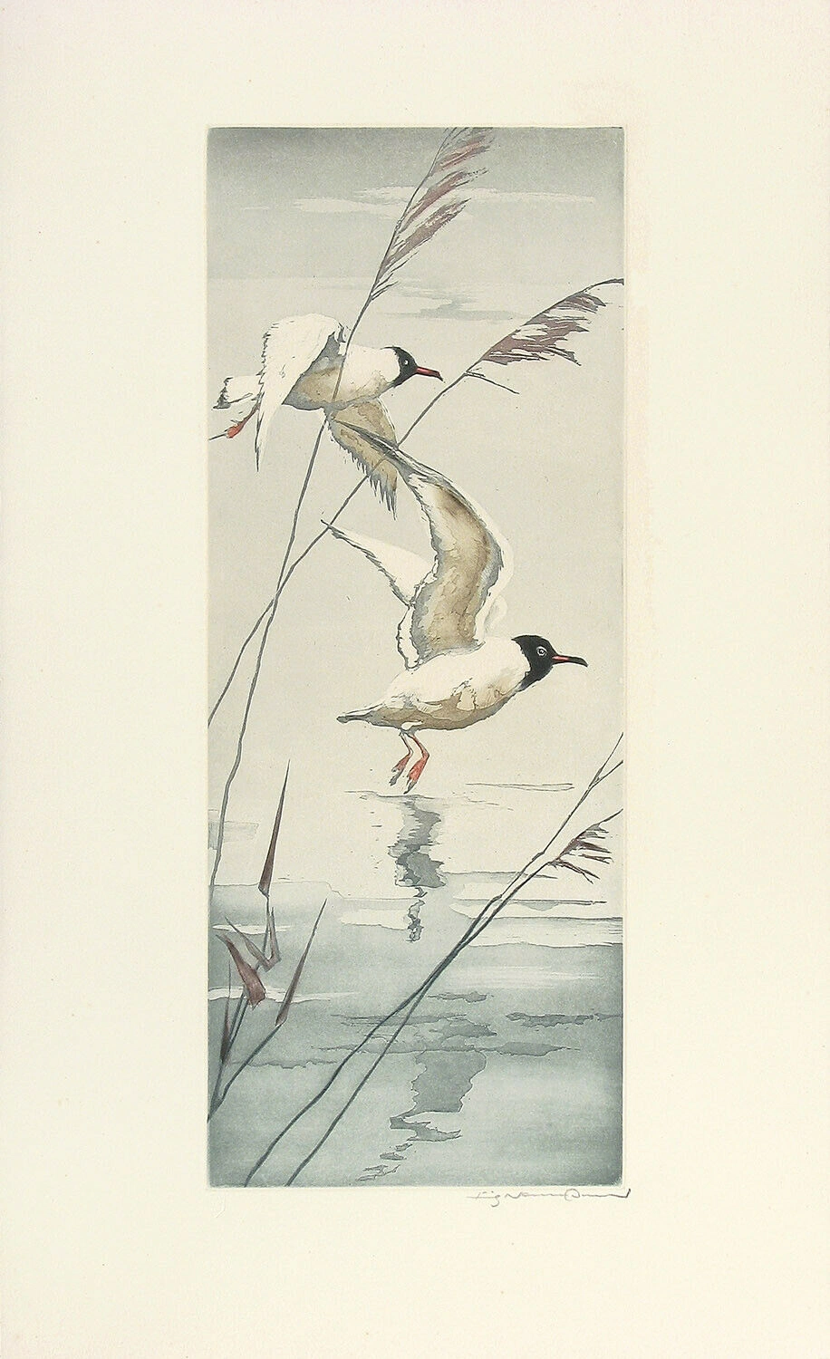 Sea Gulls - Fritz Neumann