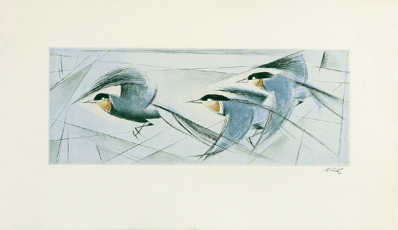 Three Birds in Flight - Ric09