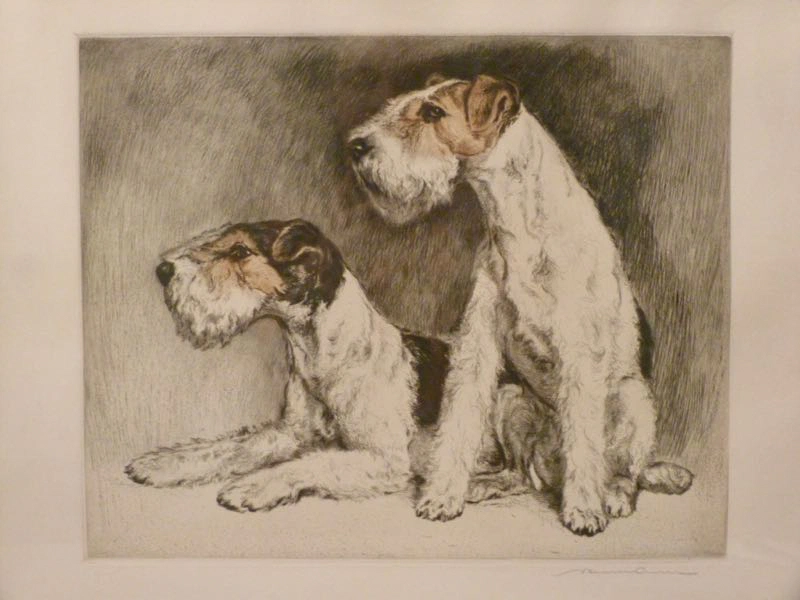 Two dogs - fox terrier (Fritz Neumann)